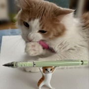 ペンを持ち上げるネコとペンを噛む猫