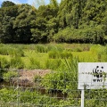 四万十市トンボ自然公園（トンボ王国）見学
