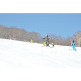 �إ�å����٥륬������Ƴ���륹���������׳��š٤β���