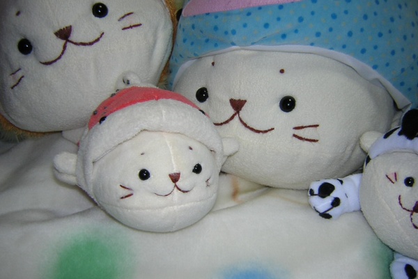 しろたん気分♪ぽよ～ん自転車日記 - しろたん