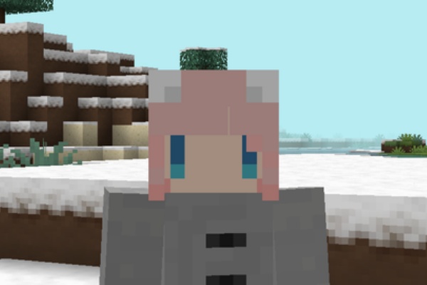 ももにゃのマインクラフト