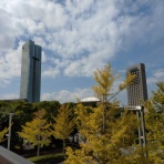 「うつ」の心に癒しを。