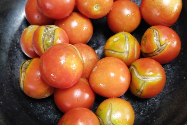 都心から郊外へ8 ミニトマト