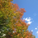 １０月には八木重吉ソング