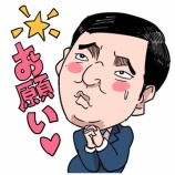 『参議院一人区』の画像