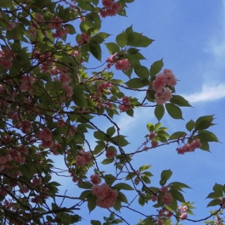 ちょっと幸せ、ずーっと幸せ