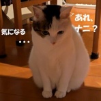 ゆずの本箱