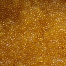 $【未解決事件】今夜誰かに話したい！禁断の雑談ネタまとめ