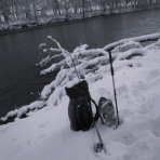 F・Fとしての証