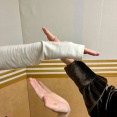櫻坂46の『さ』Buddies予想外の新MCが判明！！！