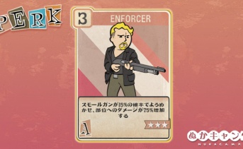 Fallout 76：Enforcer（Agility）