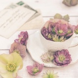 『気になる友人たち（１）』の画像