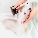 『OIだより(4800回記念)(53)一隅の灯(27)』の画像