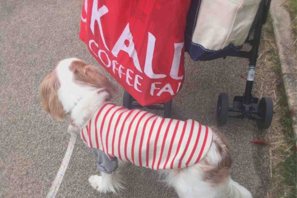 ひねもすのたり うちわな話