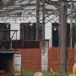 『週刊マンガライレポートVol.224』の画像