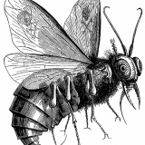 サタンの次に有名な悪魔って誰？