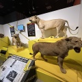 超危険生物展