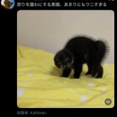 死ぬかと思った（自業自得編）