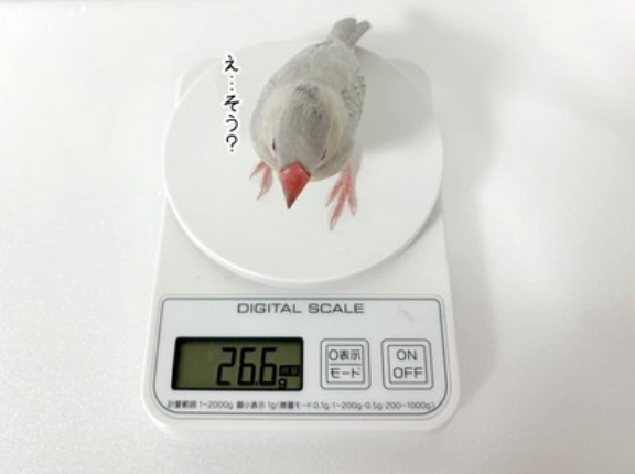 久しぶりに体重測定をしてみたら…