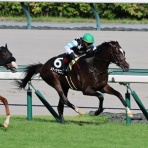 クロミちゃんの競馬日記