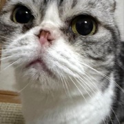 不運続きの日は幸運1つで帳消しになります～♪