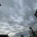 新たな有機合成スタート♪