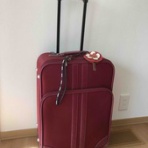 コガネムシのつぶやき