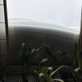 豪雪