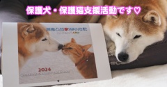 チャリティーカレンダーの受付を開始します♪
