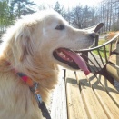 西公園と七北田公園