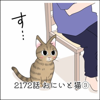 あんこ＆麦2173 おにいと猫③