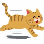 【朗報】猫の腎臓病薬がいよいよ実用化へ！猫の寿命が爆延びするかも