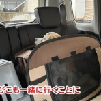 ガオだらけな日々　