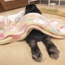 美味しさのあとには…。