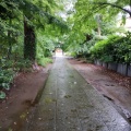 2025/06/25 久々の興禅院