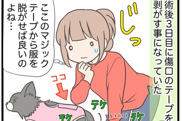 わたくしごとですが 発情期 Powered By ライブドアブログ