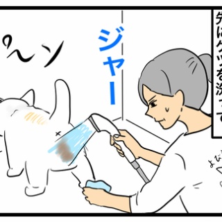 ちーちゃんっ🐾