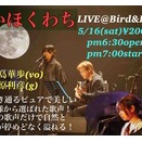 かほくわち　2026 5/16(sat) LIVE@Bird&Diz 