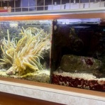 Beach Field　いいかげん日記帳Ⅲ