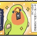 えるポピ・ハッピーオタクライフ
