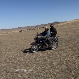 海外青年の車と制限速度。