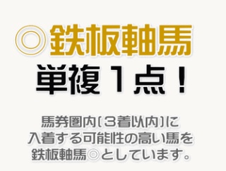 (日)◎鉄板軸馬