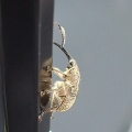 裾野市と御殿場市でハイイロチョッキリの枝の切り落とし確認