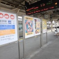 JR西日本北陸本線・小浜線・ハピラインふくい敦賀駅訪問Part8／令和7年4月3日訪問