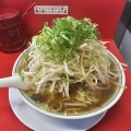 最近の色々写真　　(*ΦωΦ*)にゃー