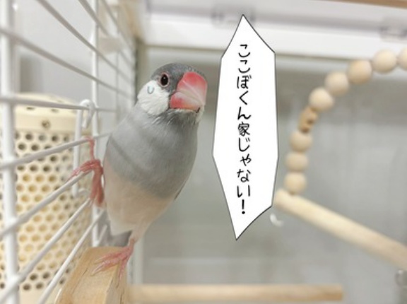 ジルのあだなは？