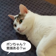 はじまる…と、ピンクのキューブ水中花つくりました。