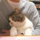 ニコニコしてぇ～