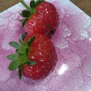 ベランダ放置苺初収穫🍓