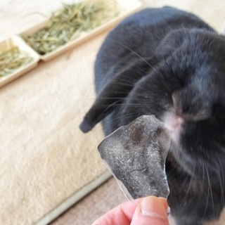 ぶ〜に〜の暮らし